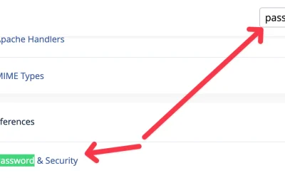 How to change your cPanel password